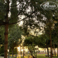 фото из отзыва ID 2725406