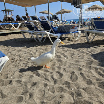 фото из отзыва ID 2725424