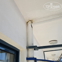 фото из отзыва ID 2725424