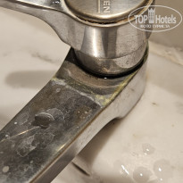 фото из отзыва ID 2725424