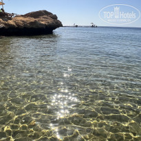 фото из отзыва ID 2724812