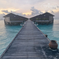 фото из отзыва ID 2725439