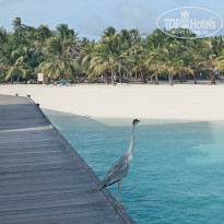 фото из отзыва ID 2725439