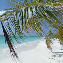 фото из отзыва ID 2725439