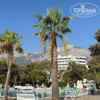 фото из отзыва ID 2725447