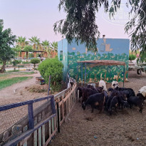 фото из отзыва ID 2725454