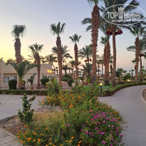 фото из отзыва ID 2725454