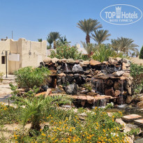 фото из отзыва ID 2725454