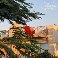 фото из отзыва ID 2725454