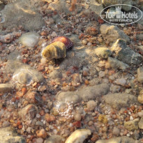 фото из отзыва ID 2725454