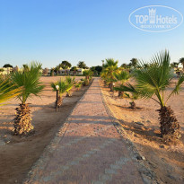 фото из отзыва ID 2725454