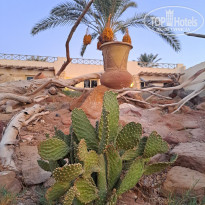 фото из отзыва ID 2725454