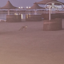 фото из отзыва ID 2725454