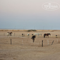 фото из отзыва ID 2725454