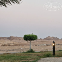 фото из отзыва ID 2725454