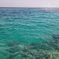 фото из отзыва ID 2725454