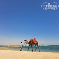 фото из отзыва ID 2725454