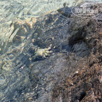 фото из отзыва ID 2725454