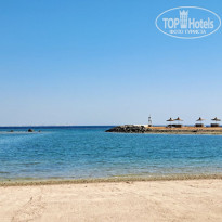 фото из отзыва ID 2725454