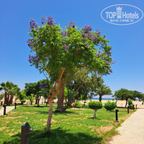 фото из отзыва ID 2725454