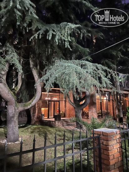 New photos from tourists Art Hotel 