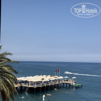 фото из отзыва ID 2725466