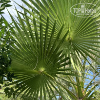 фото из отзыва ID 2725467