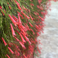 фото из отзыва ID 2725467