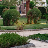 фото из отзыва ID 2725478