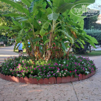 фото из отзыва ID 2725477