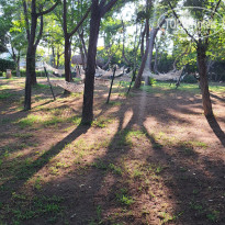 фото из отзыва ID 2725477