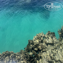 фото из отзыва ID 2725499