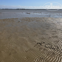 фото из отзыва ID 2725498