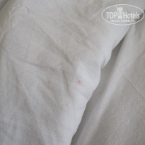 фото из отзыва ID 2725529