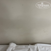 фото из отзыва ID 2725529