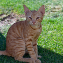 фото из отзыва ID 2725539