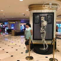 фото из отзыва ID 2725544