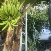 фото из отзыва ID 2725558