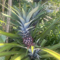 фото из отзыва ID 2725558