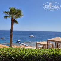 фото из отзыва ID 2725559