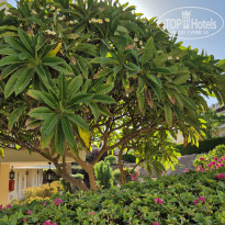 фото из отзыва ID 2725559