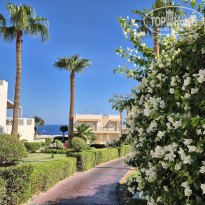 фото из отзыва ID 2725559