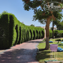 фото из отзыва ID 2725559