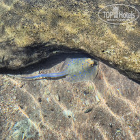 фото из отзыва ID 2725559