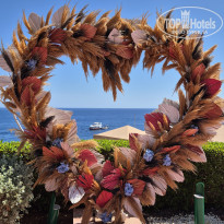 фото из отзыва ID 2725559