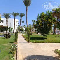 фото из отзыва ID 2725562