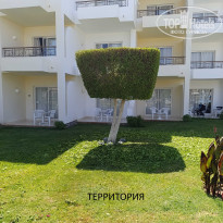 фото из отзыва ID 2725562