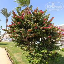 фото из отзыва ID 2725562