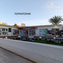 фото из отзыва ID 2725562