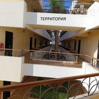 фото из отзыва ID 2725562